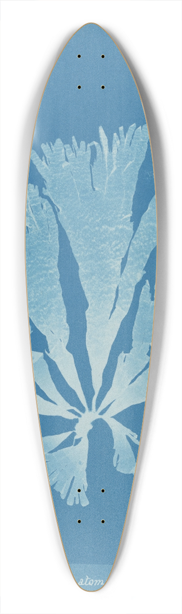 Anna Atkins - Dictyota atomaria 39.3 inch art pintail longboard deck