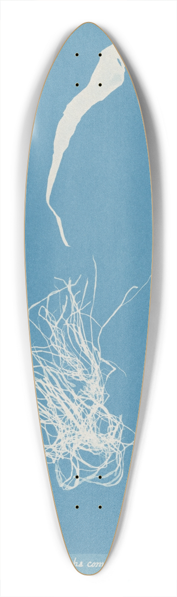 Anna Atkins - Enteromorpha compressa 39.3 inch art pintail longboard deck