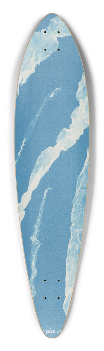 Anna Atkins - Enteromorpha intestinalis 39.3 inch art pintail longboard deck