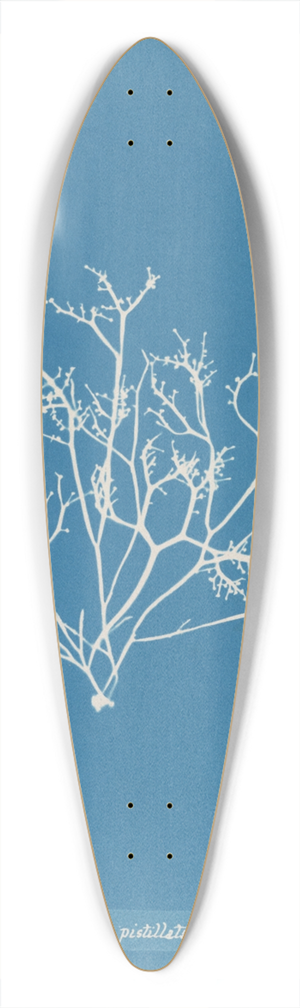 Anna Atkins - Gigartina pistillata 39.3 inch art pintail longboard deck