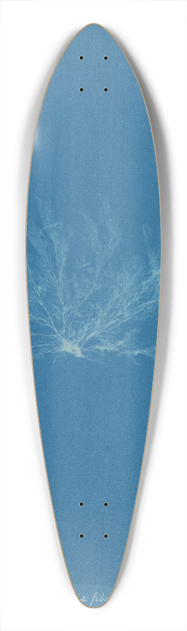 Anna Atkins - Polysiphonia fibrata. 39.3 inch art pintail longboard deck