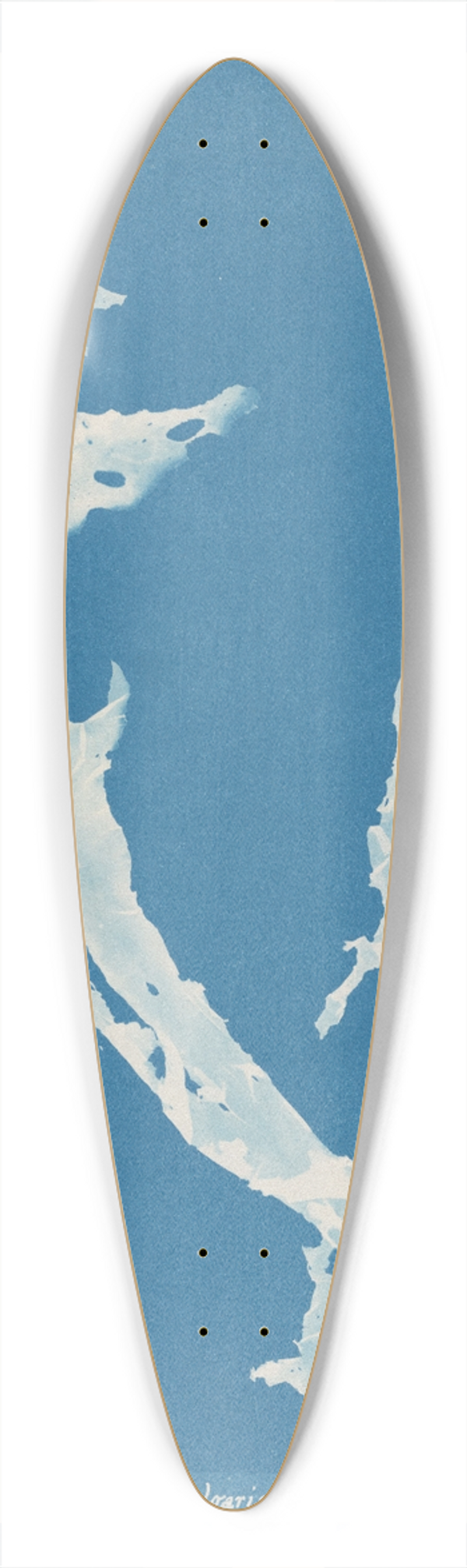 Anna Atkins - Porphyra vulgaris 39.3 inch art pintail longboard deck