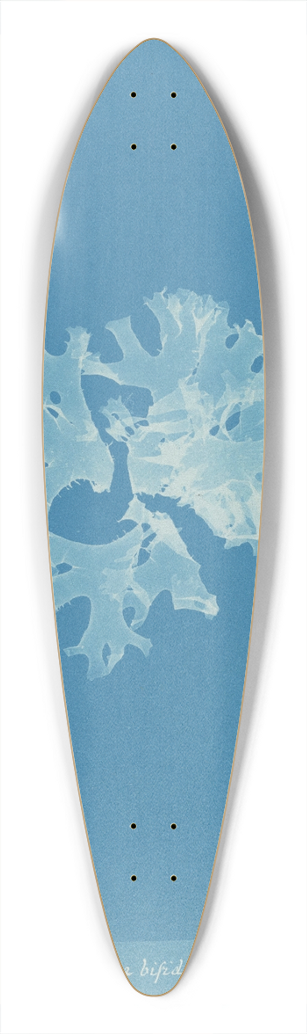 Anna Atkins - Rhodomenia bifida var. latifolia 39.3 inch art pintail longboard deck
