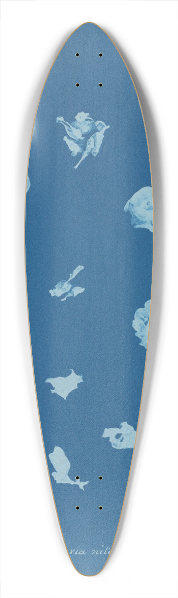 Anna Atkins - Rivularia nitida 39.3 inch art pintail longboard deck