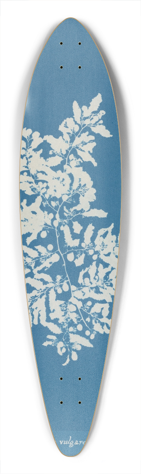 Anna Atkins - Sargassum vulgare 39.3 inch art pintail longboard deck