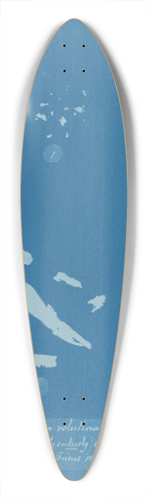 Anna Atkins - Sphacelaria velutina; 1. Tufts (some only entirely) detached; 2. [Tufts] growing on Fucus serratus 39.3 inch art pintail longboard deck