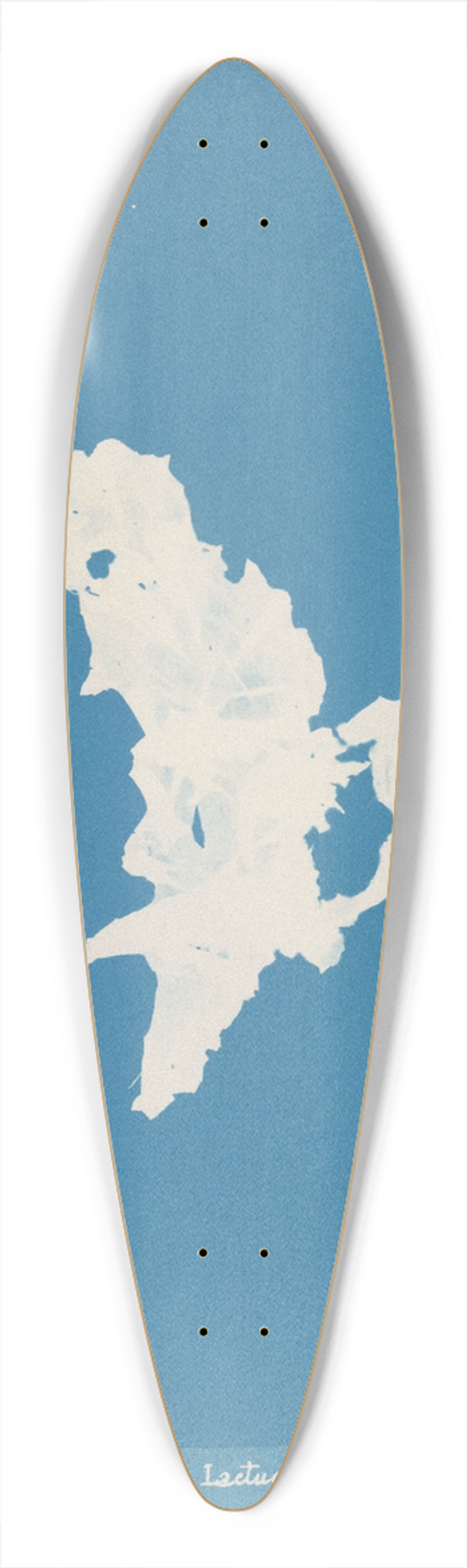 Anna Atkins - Ulva lactuca 39.3 inch art pintail longboard deck