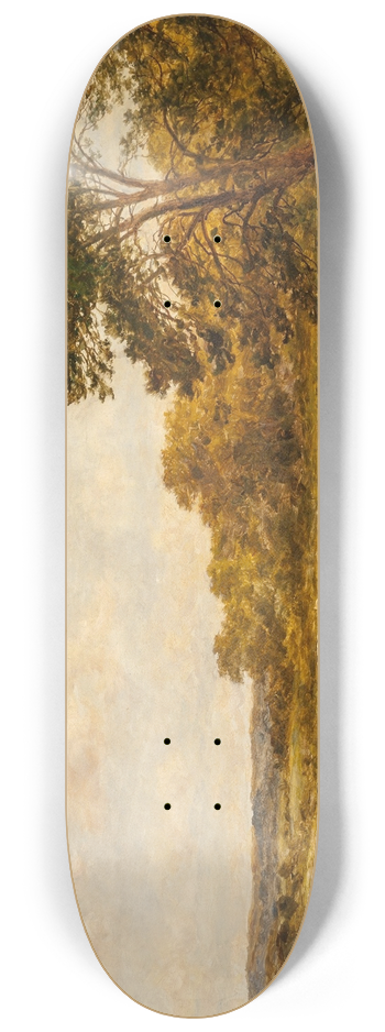 Benjamin Williams Leader - A reedy pool 8.25 inch art skate deck