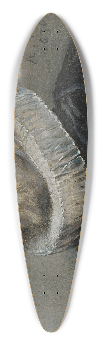 Anthony van Dyck - Portrait Of Nicholas Rockox 39.3 inch art pintail longboard deck