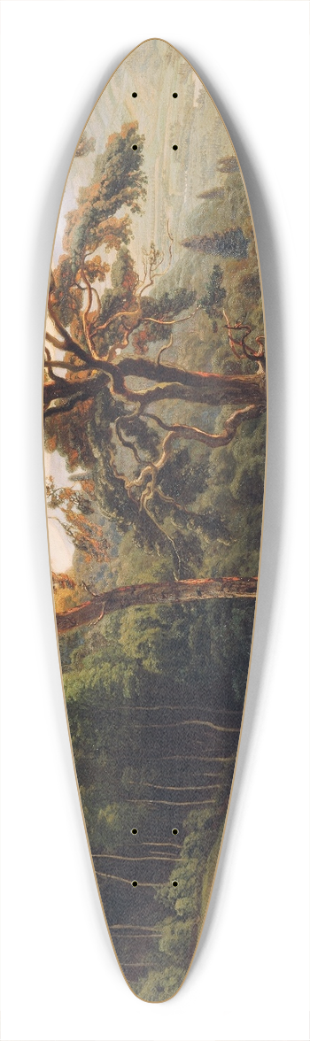 Anton Hlavacek - Die Habsburg 39.3 inch art pintail longboard deck