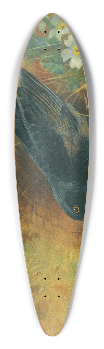 Archibald Thorburn - Blackbird 39.3 inch art pintail longboard deck