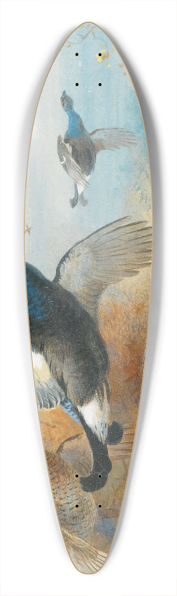 Archibald Thorburn - Blackcock Forward 39.3 inch art pintail longboard deck