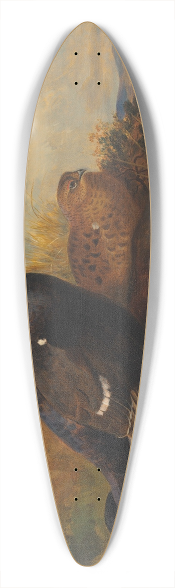 Archibald Thorburn - Blackgame on a rocky outcrop, with a loch beyond 39.3 inch art pintail longboard deck