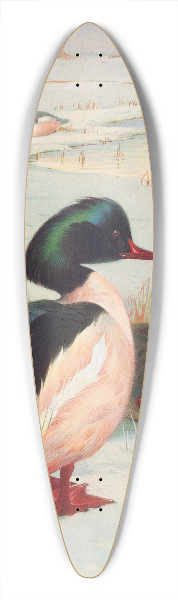 Archibald Thorburn - Goosander 39.3 inch art pintail longboard deck