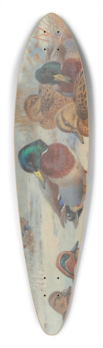 Archibald Thorburn - Mallard and teal in the snow 39.3 inch art pintail longboard deck