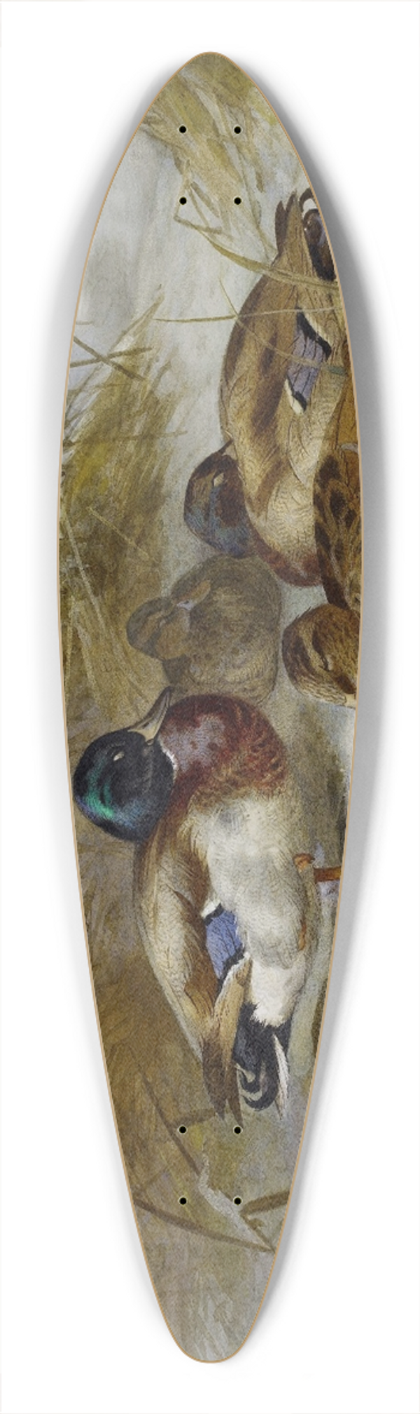 Archibald Thorburn - Winter Landscape With Mallard 39.3 inch art pintail longboard deck