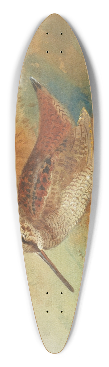 Archibald Thorburn - Woodcock at waters edge 39.3 inch art pintail longboard deck
