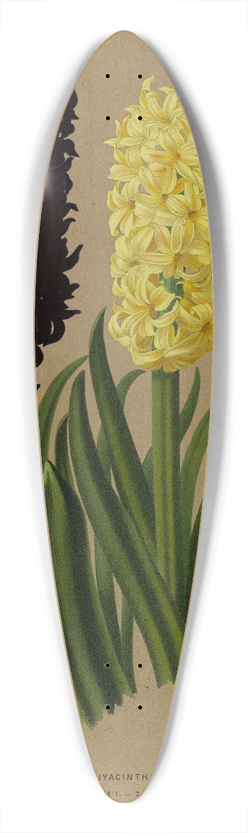 Arentina Hendrica Arendsen - Hyacinths 2 39.3 inch art pintail longboard deck
