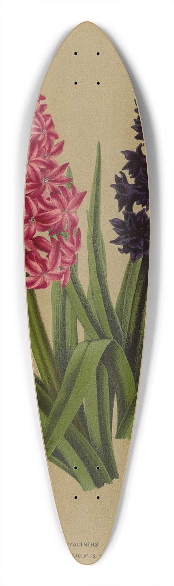 Arentina Hendrica Arendsen - Hyacinths 3 39.3 inch art pintail longboard deck