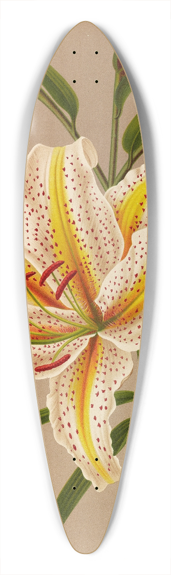 Arentina Hendrica Arendsen - Lilium Auratum 39.3 inch art pintail longboard deck
