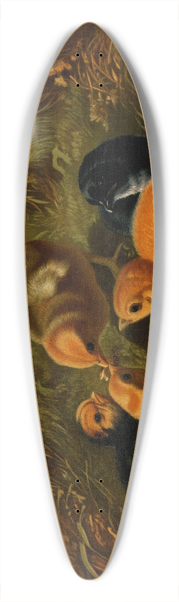 Arthur Fitzwilliam Tait - Chickens 39.3 inch art pintail longboard deck