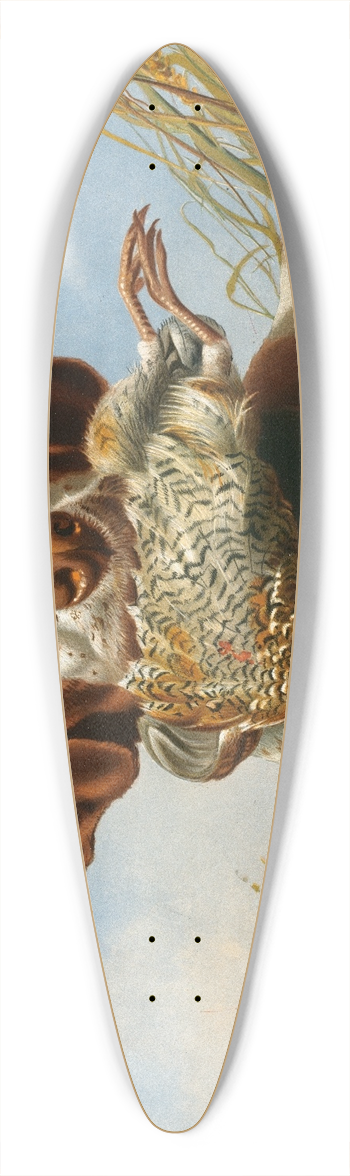 Arthur Fitzwilliam Tait - Pointer and Quail 39.3 inch art pintail longboard deck