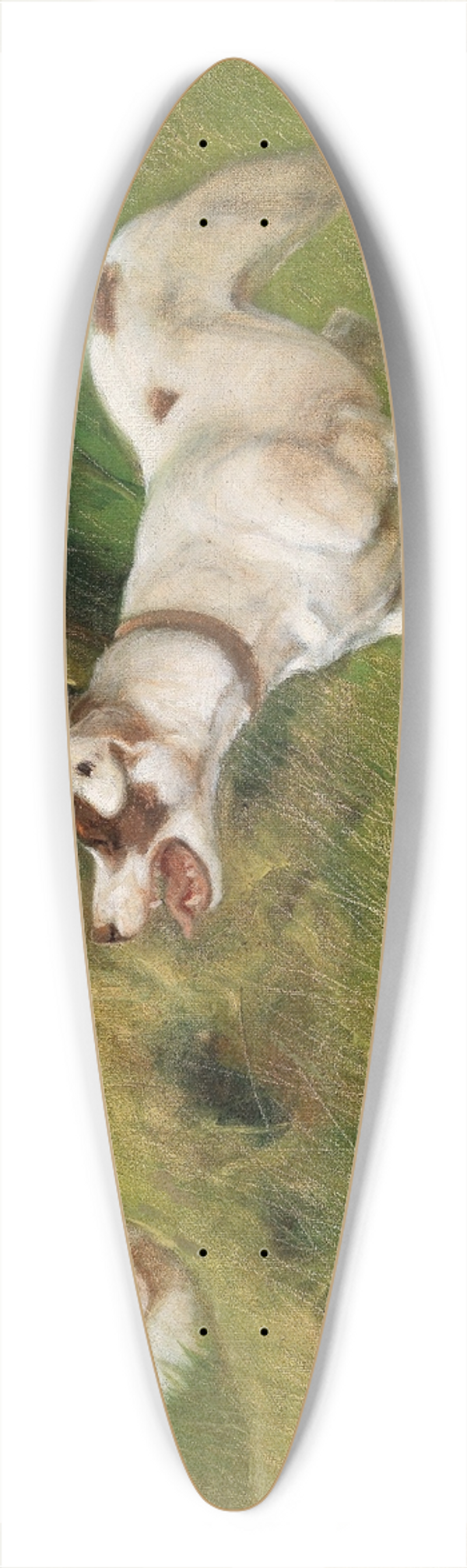Arthur Heyer - Dog and Cat 39.3 inch art pintail longboard deck
