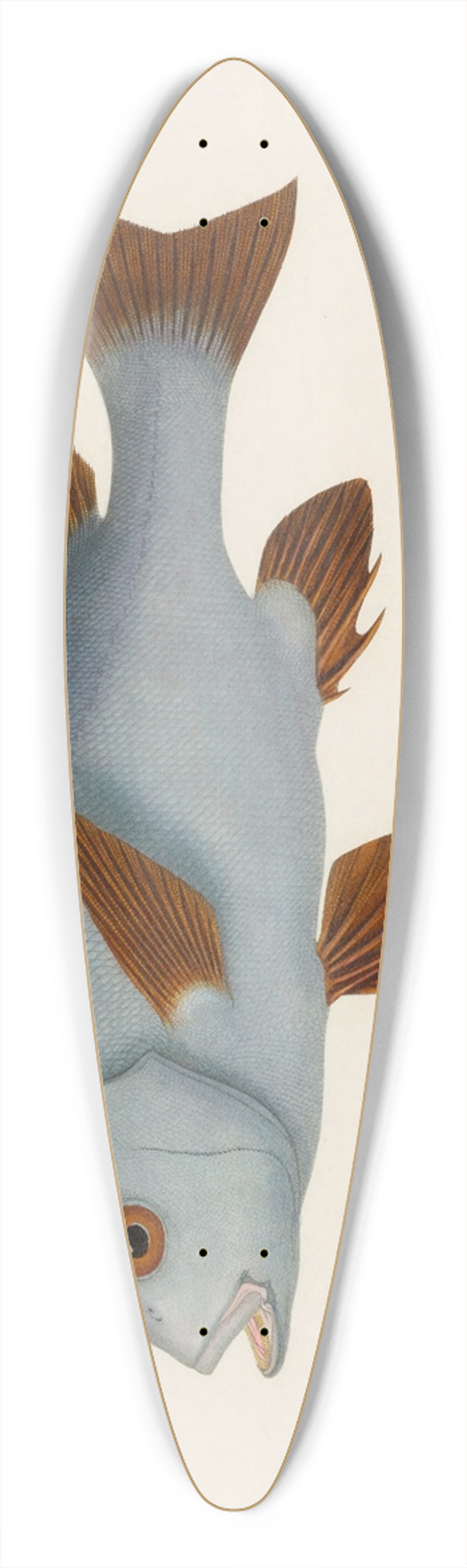 Arthus Bertrand - Diagramma mediterraneum 39.3 inch art pintail longboard deck
