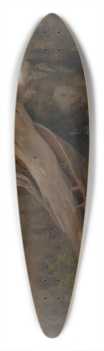 August Cappelen - Study of a decaying Trunk 39.3 inch art pintail longboard deck
