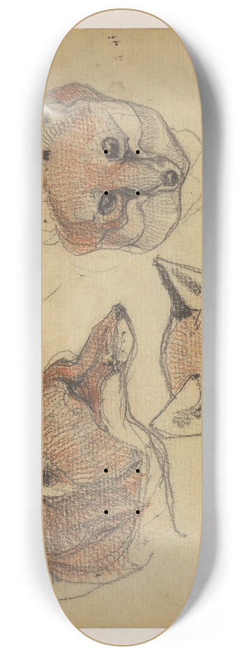 Bernard Willem Wierink - Drie vossenkoppen 8.25 inch art skate deck