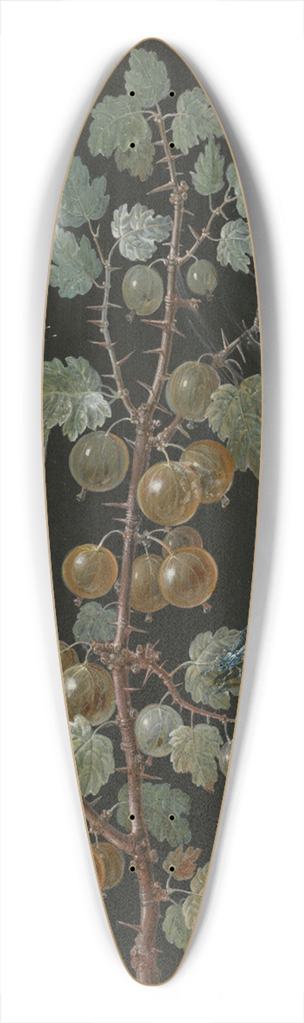 Barbara Regina Dietzsch - A Branch of Gooseberries with a Dragonfly, an Orange-Tip Butterfly, and a Caterpillar 39.3 inch art pintail longboard deck