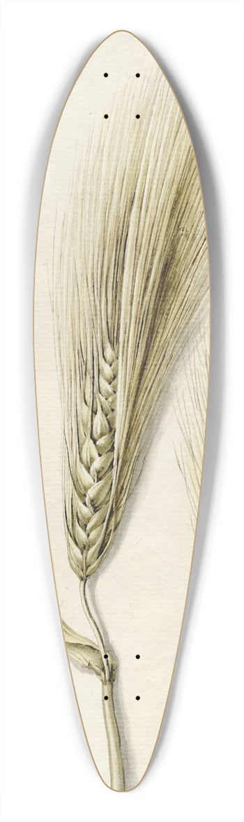Barend Hendrik Thier - Rijpe gerst 39.3 inch art pintail longboard deck