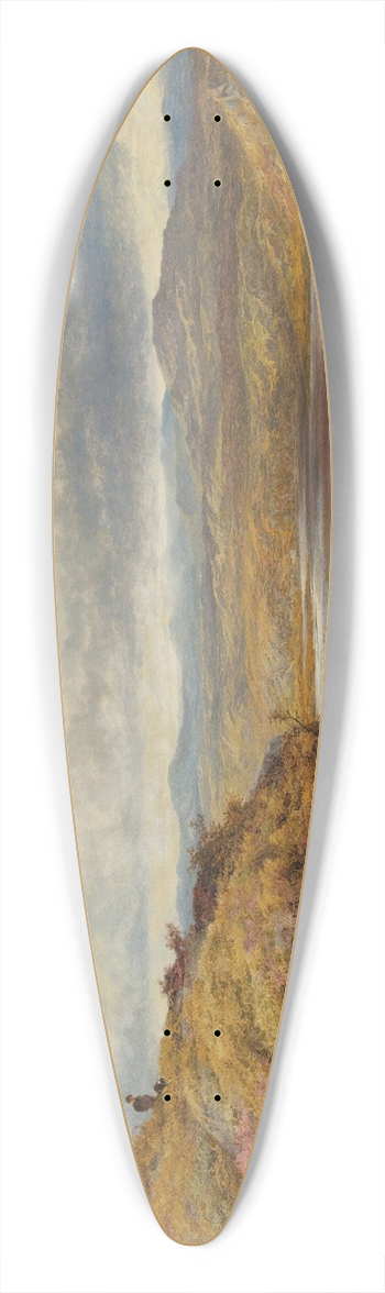 Benjamin Williams Leader - Among The Welsh Hills 39.3 inch art pintail longboard deck