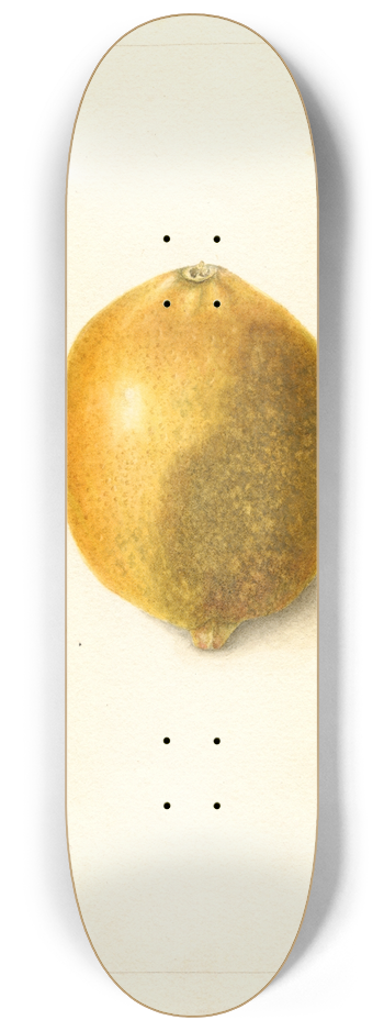 Bertha Heiges - Citrus limon 8.25 inch art skate deck