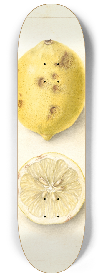 Bertha Heiges - Citrus limon 8.25 inch art skate deck