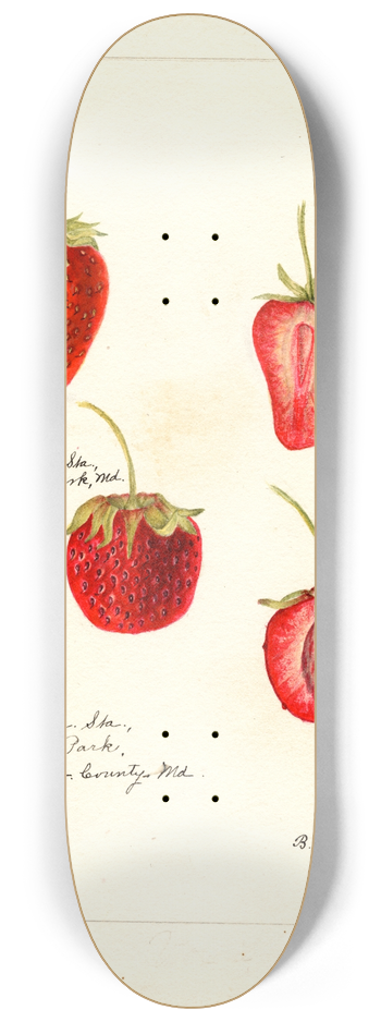 Bertha Heiges - Fragaria 8.25 inch art skate deck