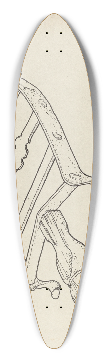 Bernard Westmacott - Flatiron Holder 39.3 inch art pintail longboard deck
