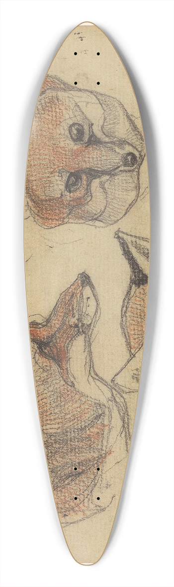 Bernard Willem Wierink - Drie vossenkoppen 39.3 inch art pintail longboard deck