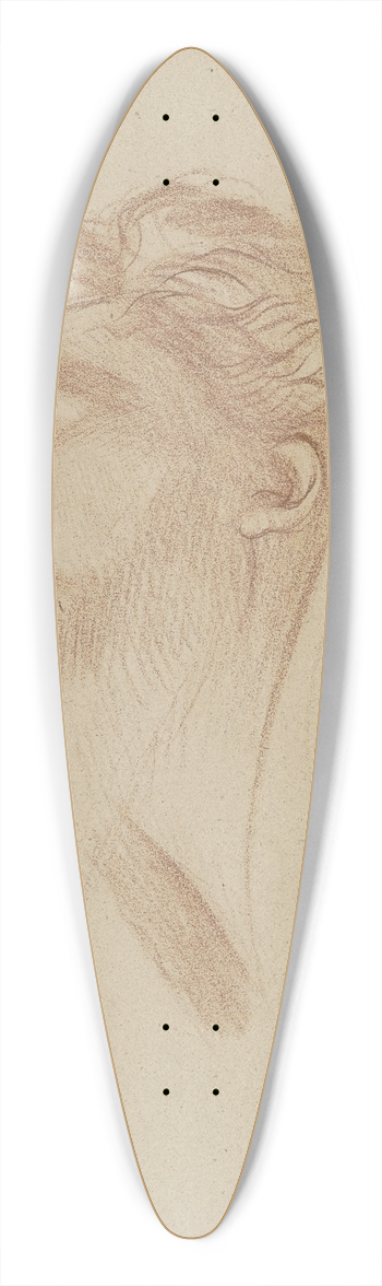 Bernhard von Neher the younger - Mnnlicher Studienkopf, liegend 39.3 inch art pintail longboard deck