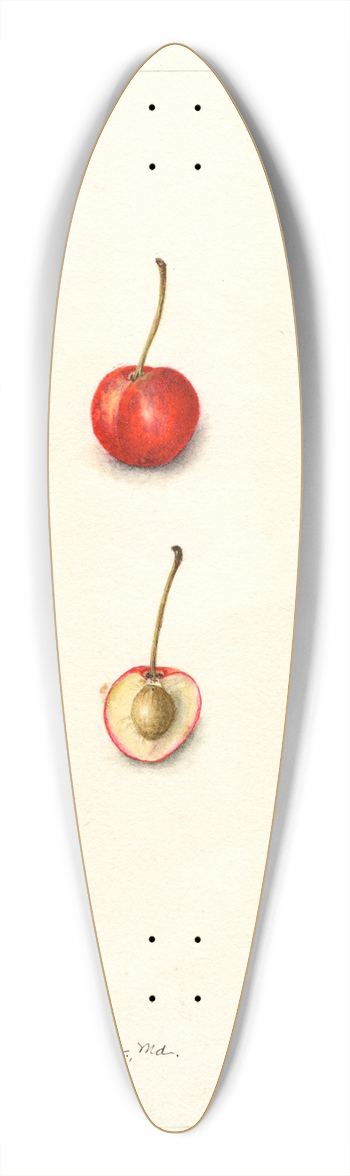 Bertha Heiges - Prunus avium: Roslyn 39.3 inch art pintail longboard deck