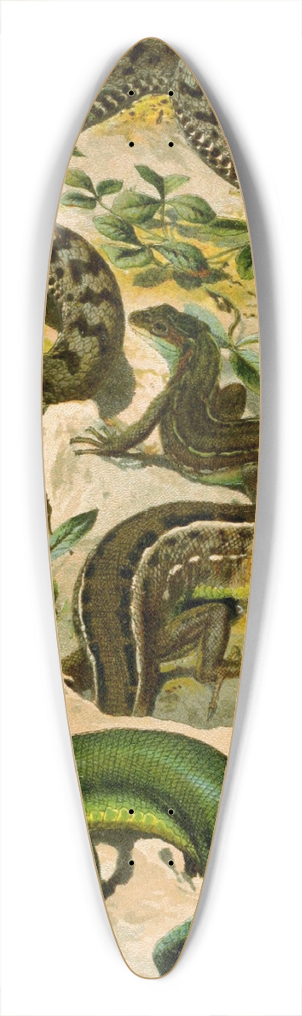 Bruno Drigen - Vipera aspis, Lacerta viridis 39.3 inch art pintail longboard deck