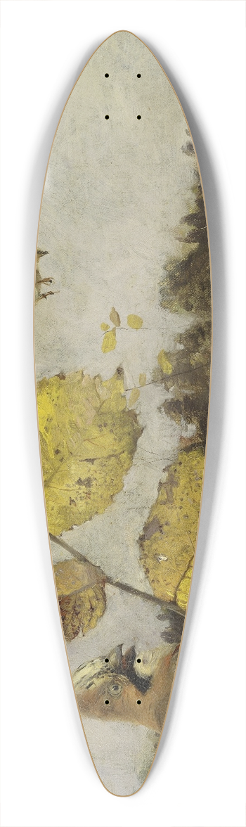 Bruno Liljefors - Jays 39.3 inch art pintail longboard deck