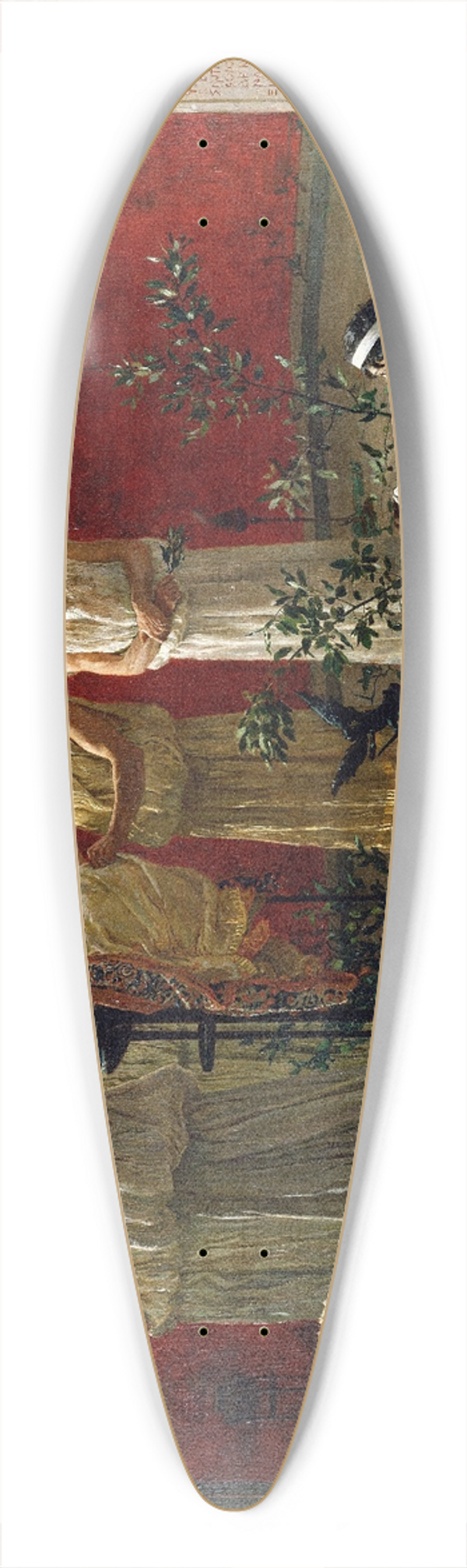 Camillo Miola - The Oracle 39.3 inch art pintail longboard deck