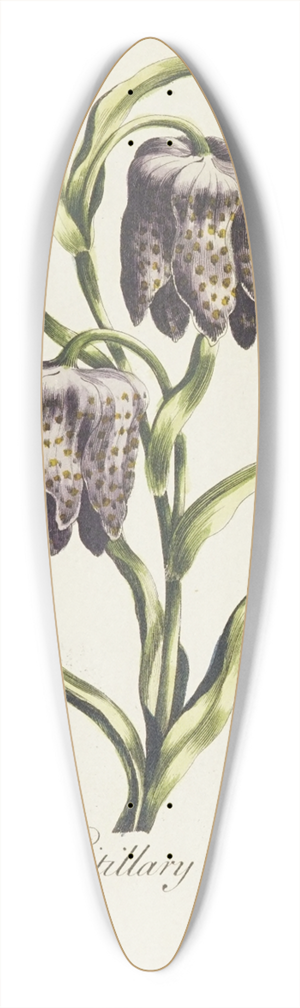 Carington Bowles - Fritillary 39.3 inch art pintail longboard deck