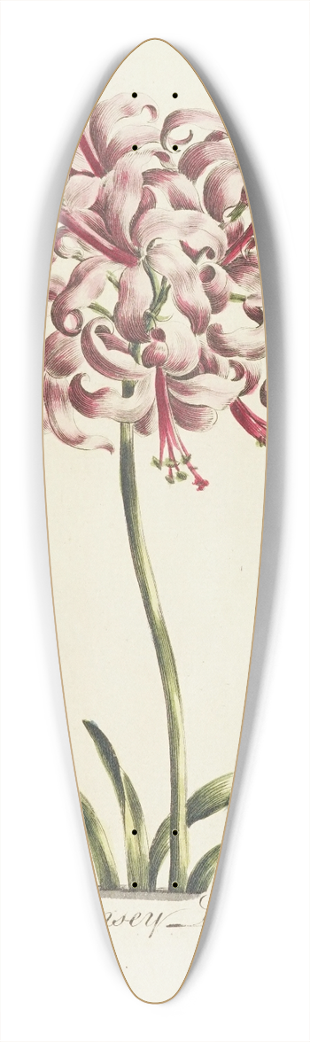 Carington Bowles - Guernsey lilly 39.3 inch art pintail longboard deck