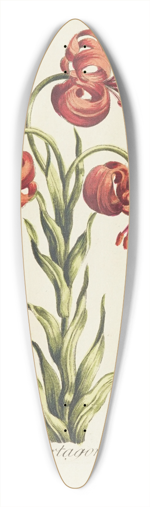 Carington Bowles - Martagon 39.3 inch art pintail longboard deck