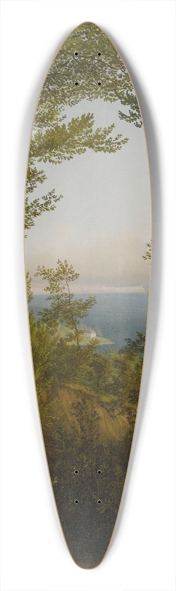 Carl Hummel - Rgen 39.3 inch art pintail longboard deck