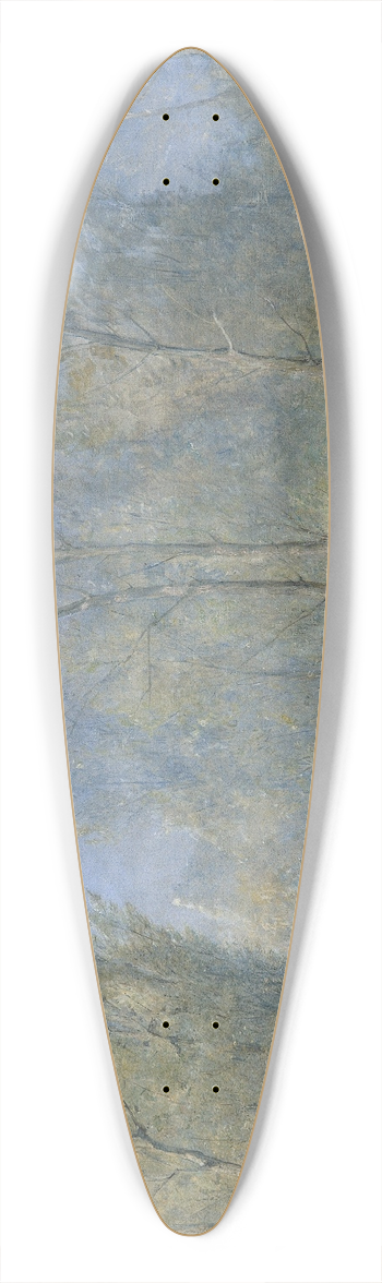 Carl Kaiser-Herbst - Donau-Auen 39.3 inch art pintail longboard deck