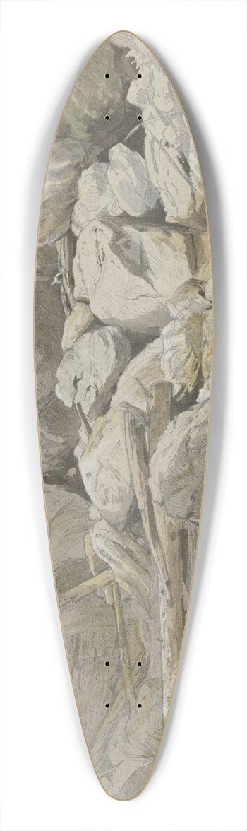 Carl Morgenstern - Wasserfall zwischen Felsblcken 39.3 inch art pintail longboard deck