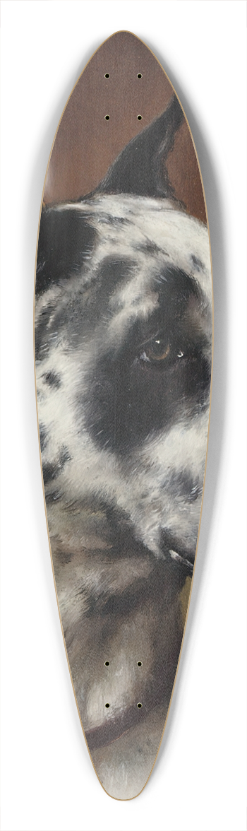 Carl Reichert - A Great Dane 39.3 inch art pintail longboard deck